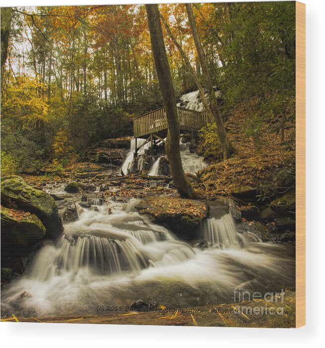 Trahlyta Falls Wood Print featuring the photograph Trahlyta Falls by Barbara Bowen