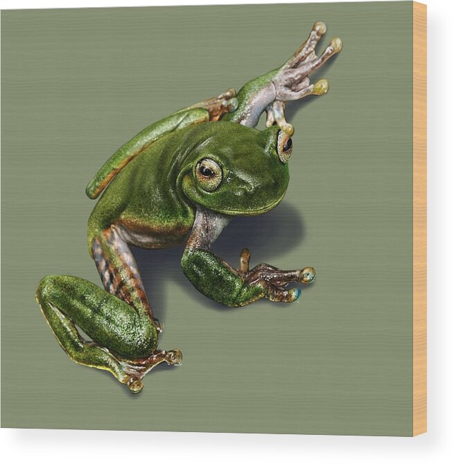 Tree Frog Wood Print featuring the digital art Tree Frog by Owen Bell