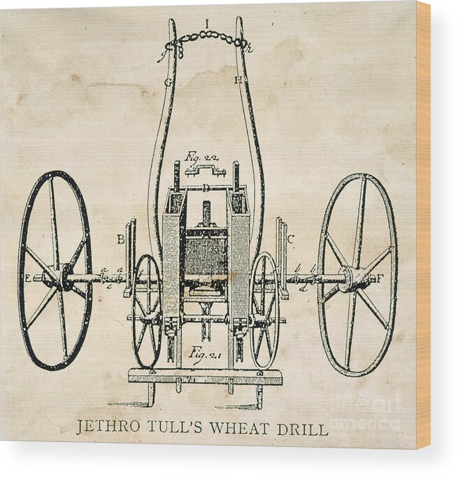 1701 Wood Print featuring the photograph Tull: Seed Drill, 1701 by Granger