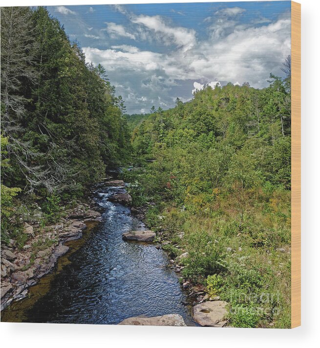 Clear Creek Wood Print featuring the photograph Up Clear Creek by Paul Mashburn