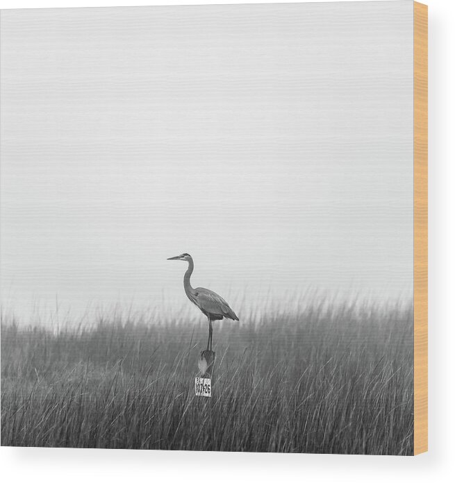 Charleston Wood Print featuring the photograph Waiting on the Fog to Clear by Donnie Whitaker
