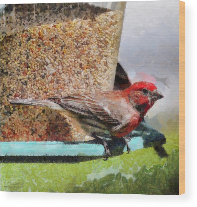 Finch Wood Print featuring the painting Windsor House Finch by Theresa Campbell