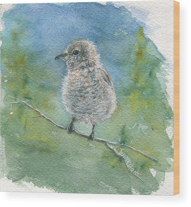 Birds Wood Print featuring the painting Young Northern Shrike by June Hunt