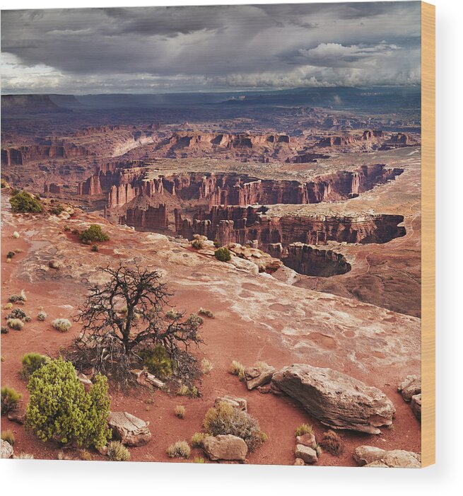 Landscape Wood Print featuring the photograph Island In The Sky, Canyonlands National #1 by DPK-Photo