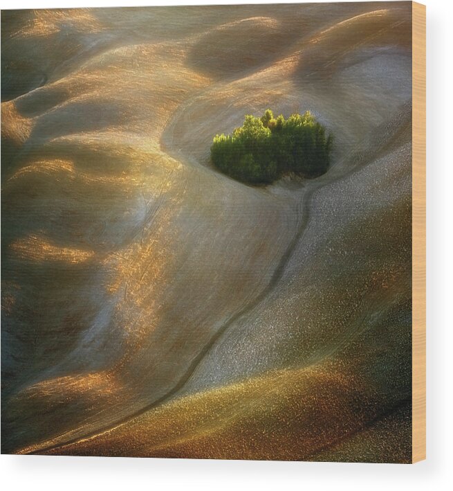 Tuscany Wood Print featuring the photograph Fields... #7 by Krzysztof Browko