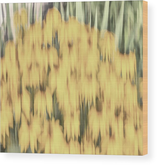 Sunflowers Wood Print featuring the photograph Abstract Rudbeckia 2018-2 by Thomas Young