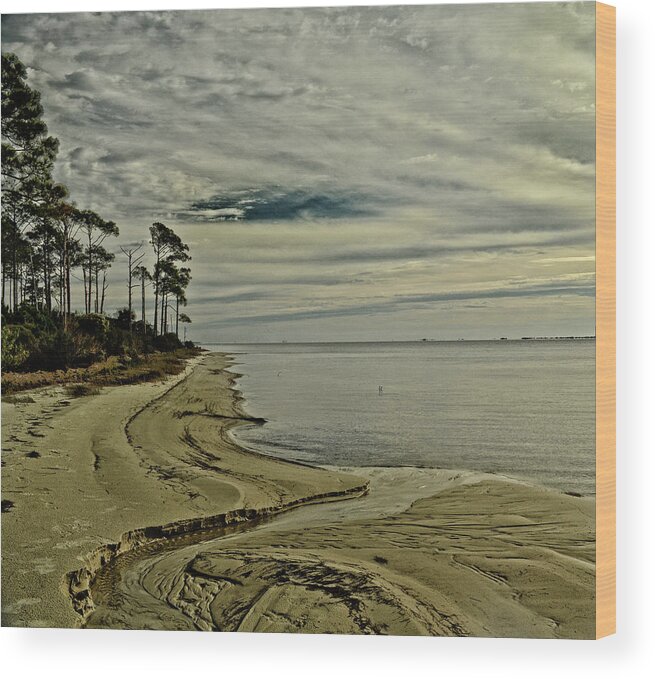 Beach Wood Print featuring the photograph Beach Sunrise by Maggy Marsh