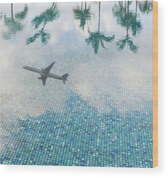 Swimming Pool Wood Print featuring the photograph Commercial Jetliner Reflected In by John Lund