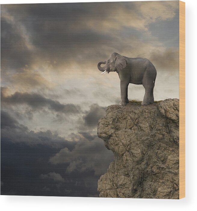 Risk Wood Print featuring the photograph Elephant On The Edge Of A Cliff by John Lund
