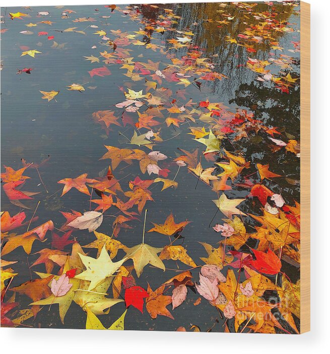 Fall Wood Print featuring the photograph Fall Leaves by Jeanette French