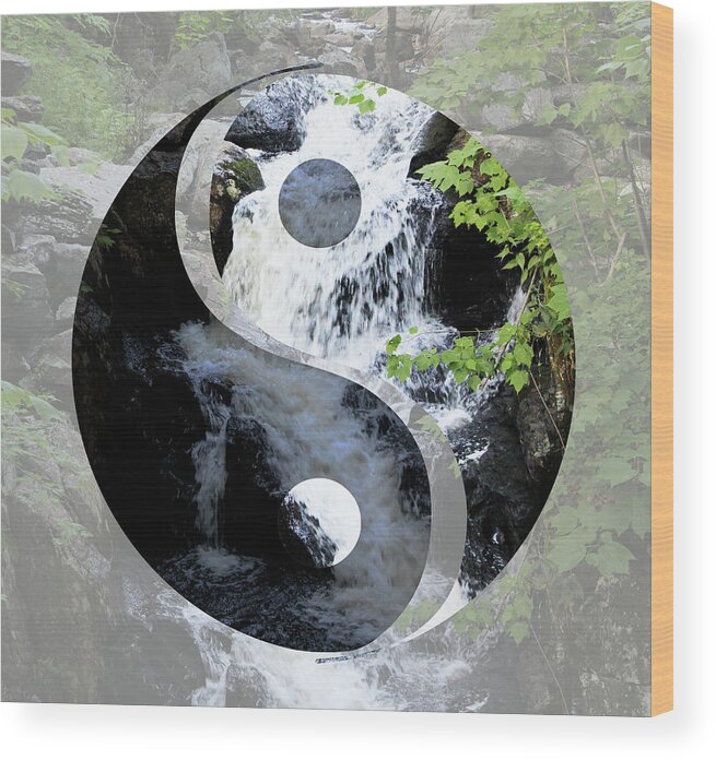 Yin Wood Print featuring the photograph Find Your Balance by Samantha Delory