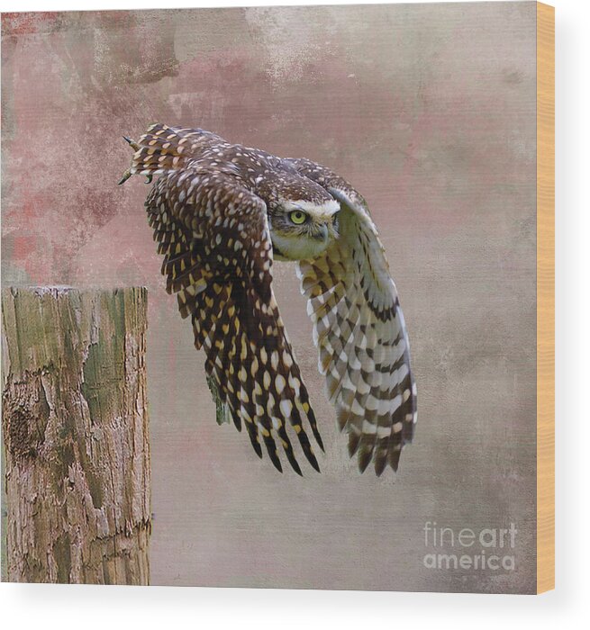 Burrowing Owl Wood Print featuring the mixed media Leap of Faith by Kathy Kelly