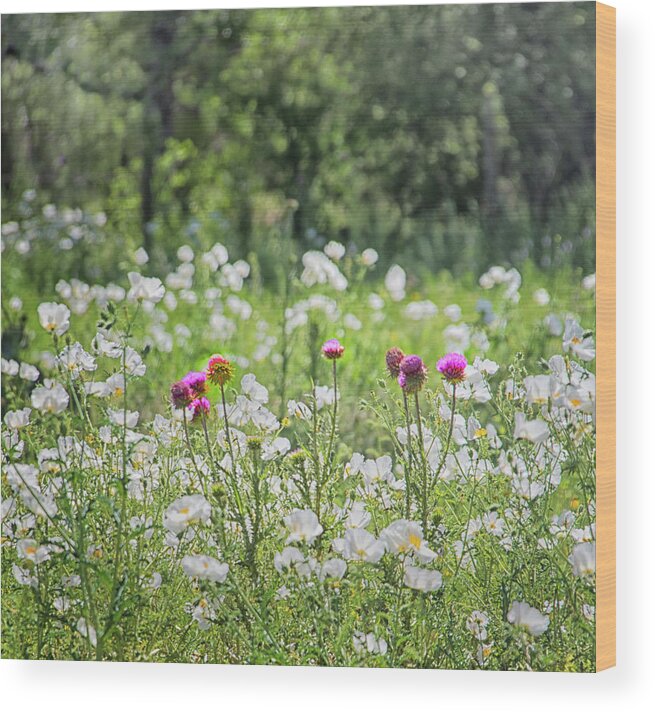 Wild Flowers Wood Print featuring the photograph The Flower Field by Jolynn Reed