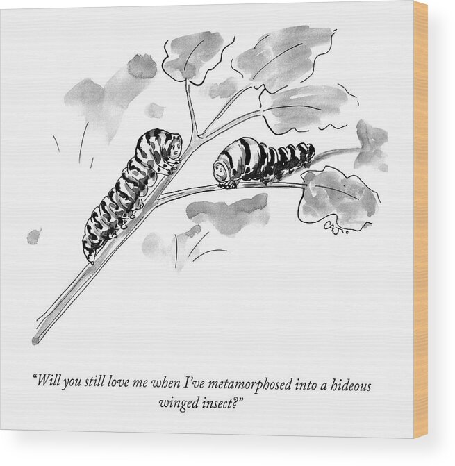will You Still Love Me When I've Metamorphosed Into A Hideous Insect? Butterfly Wood Print featuring the drawing Will You Still Love Me by Carolita Johnson