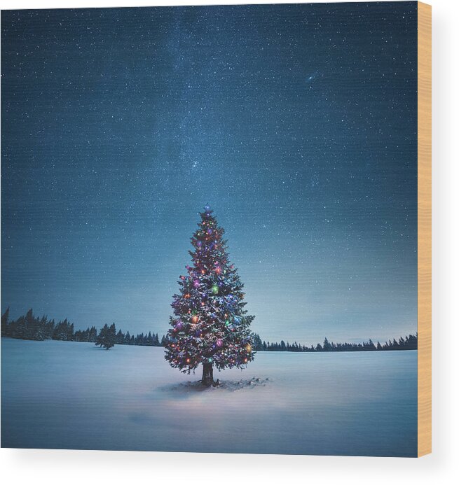 Tranquility Wood Print featuring the photograph Christmas Tree #4 by Borchee