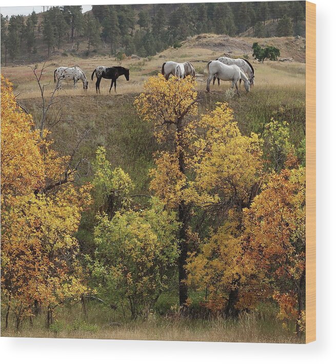 Horses Wood Print featuring the photograph Autumn Grazing in Eastern Montana by Katie Keenan