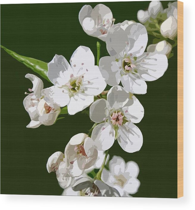 Blossom Wood Print featuring the painting Cherry Blossom 1 by Judy Cuddehe