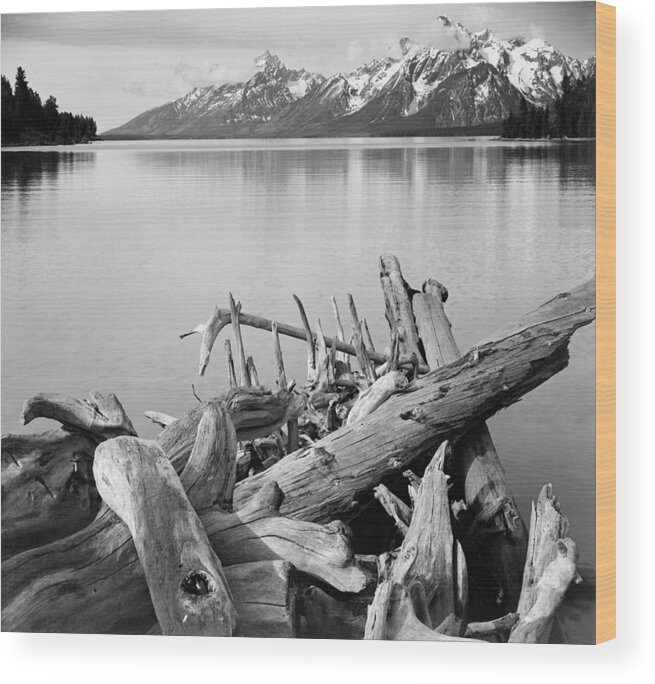 Ansel Adams Wood Print featuring the photograph Driftwood on shore of Jackson Lake, with Teton Range in background, Grand Teton National Park, Wyomi by Ansel Adams