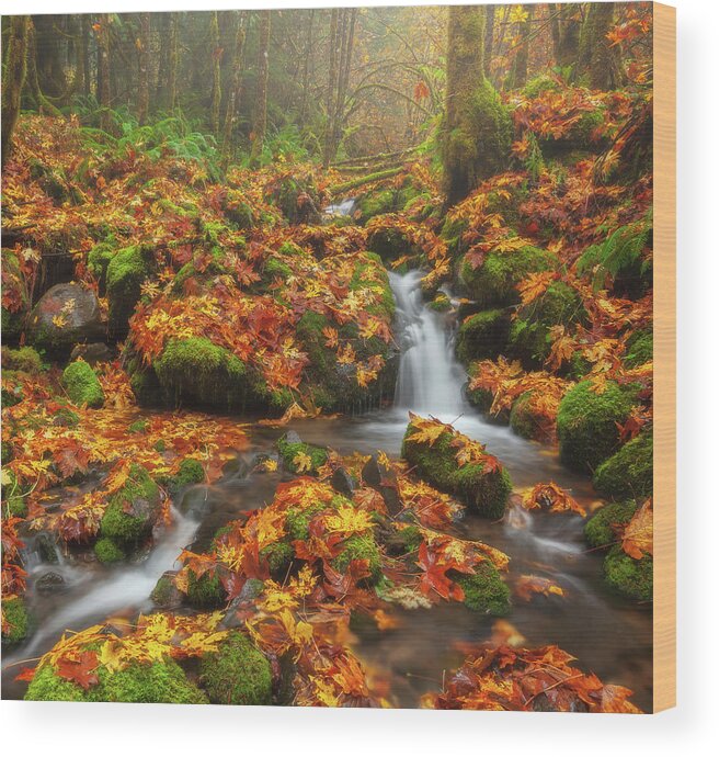 Oregon Wood Print featuring the photograph Forest in the Fog by Darren White