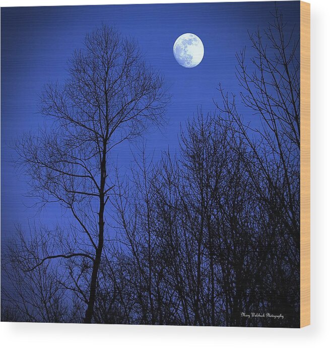 Nature Wood Print featuring the photograph January Moon by Mary Walchuck