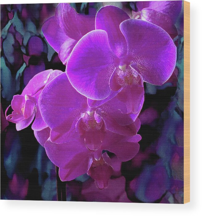 Orchid Wood Print featuring the photograph Orchid 705 by Corinne Carroll