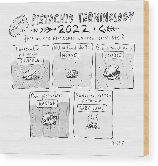 A26292 Wood Print featuring the drawing Pistachio Terminology by Roz Chast