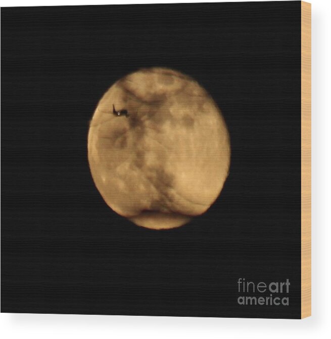 March Full Moon Wood Print featuring the photograph Plane to the Moon by Ann E Robson