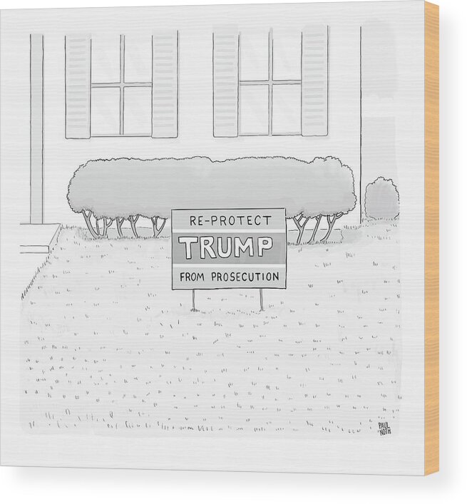 Captionless Wood Print featuring the drawing Re Protect Trump From Prosecution by Paul Noth