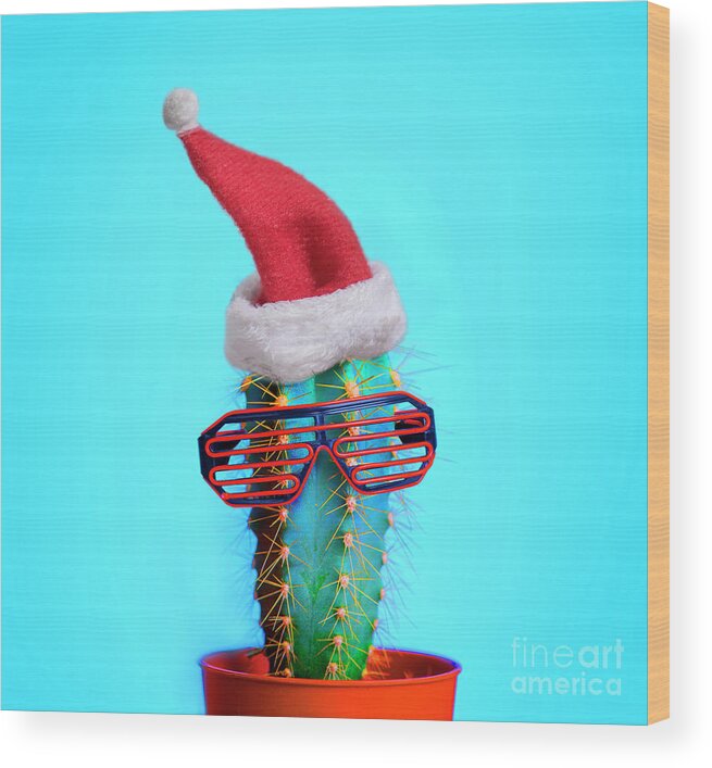 Cactus Wood Print featuring the photograph Santa cactus. Funky pop art minimal christmas in summer concept. by Jelena Jovanovic