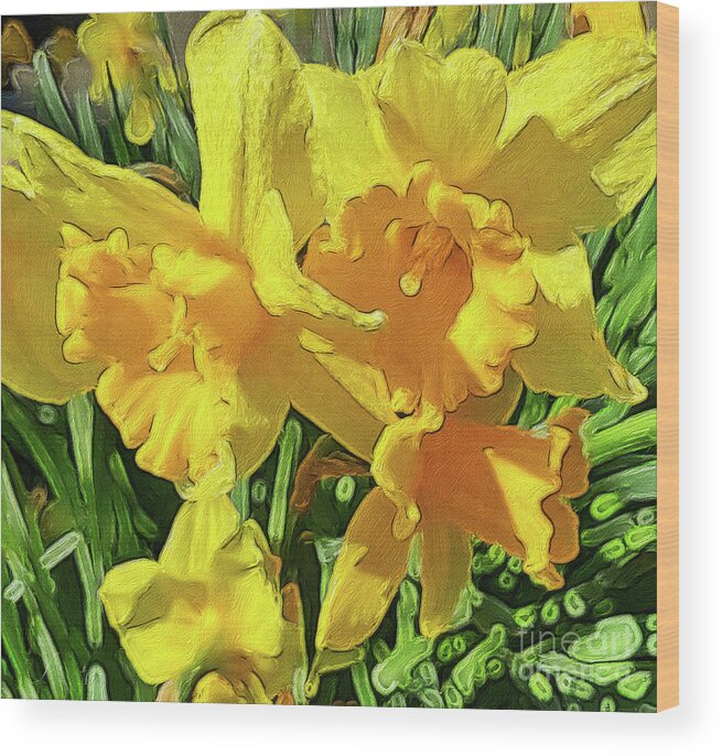 Daffodils Wood Print featuring the photograph Spring Daffodils by Jeanette French