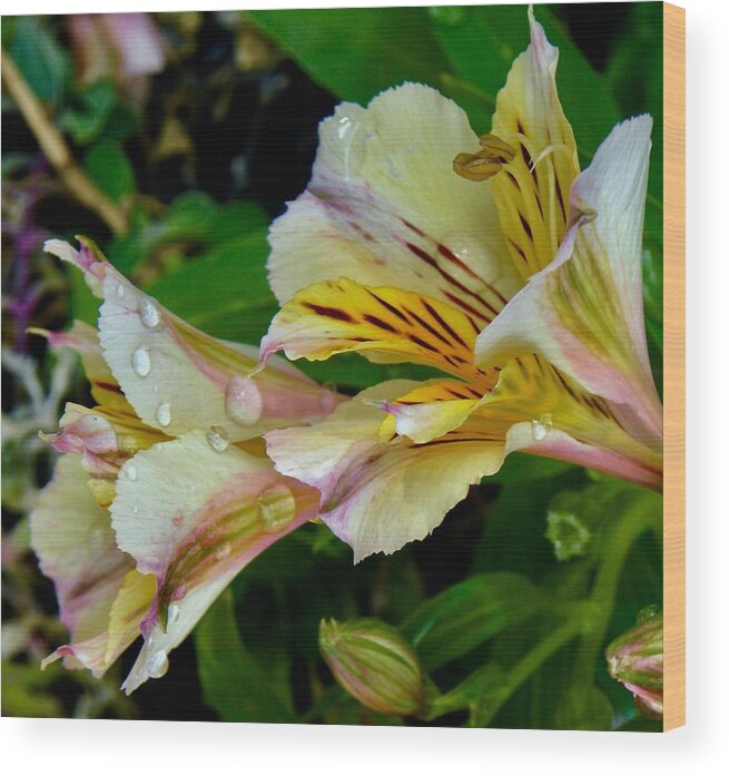 Flowers Wood Print featuring the photograph Two Blooms by Kerry Obrist