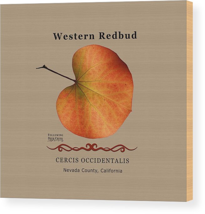 Western Redbud Wood Print featuring the digital art Western Redbud Cercis occidentalis by Lisa Redfern