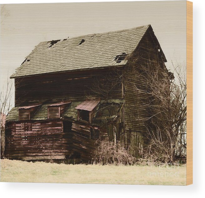 Architecture Wood Print featuring the photograph A Barn With Issues by Marcia Lee Jones