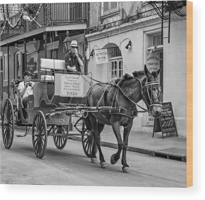 French Quarter Wood Print featuring the photograph New Orleans - Carriage Ride BW #2 by Steve Harrington