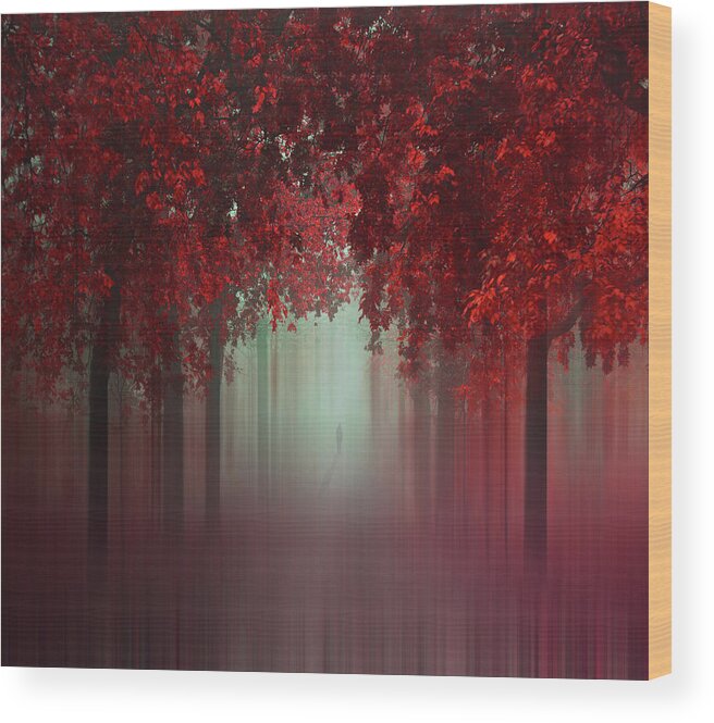 Forest Wood Print featuring the photograph Out Of Love #1 by Ildiko Neer