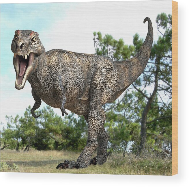Tyrannosaurus Rex Wood Print featuring the photograph Tyrannosaurus Rex Dinosaur #15 by Roger Harris