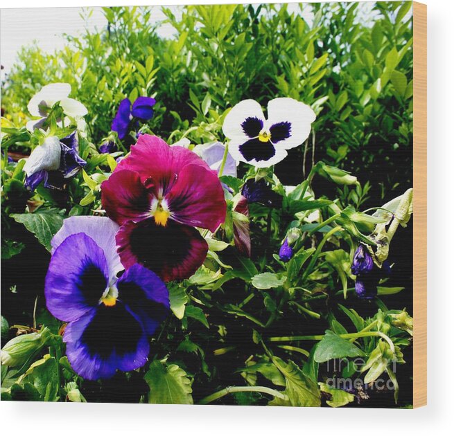 Flowers Wood Print featuring the photograph Love Flowers #231 by Baljit Chadha