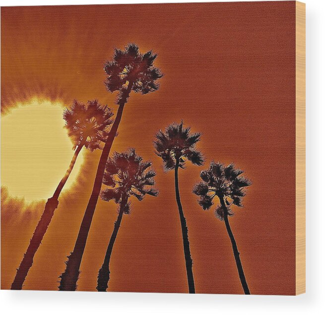 Palm Trees Wood Print featuring the photograph 4 Palms N Sun by Joe Burns