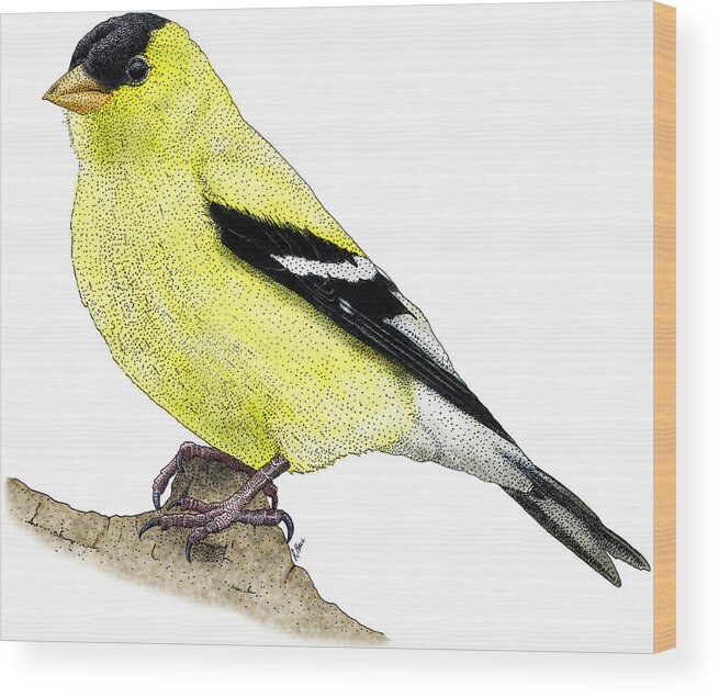 Illustration Wood Print featuring the photograph American Goldfinch by Roger Hall