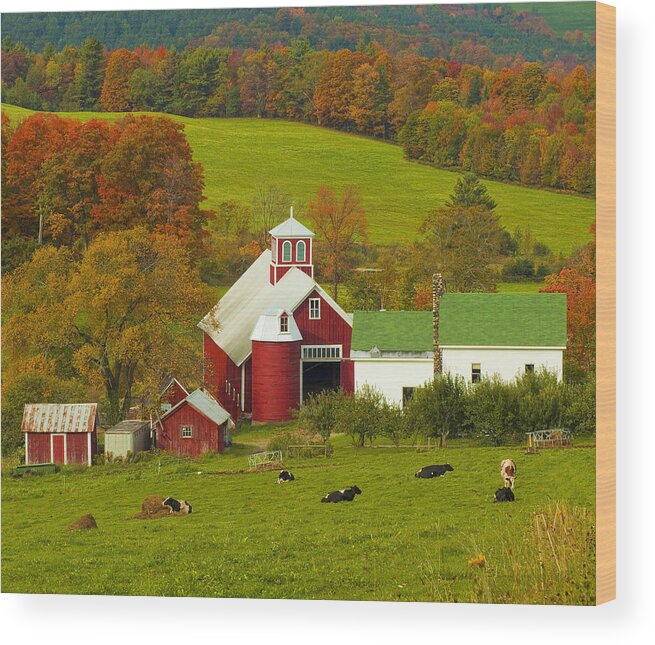 Vermont Wood Print featuring the photograph Autumn at Bogie Mountain Dairy Farm by John Vose