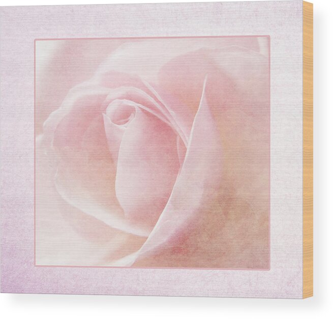 Rose Wood Print featuring the photograph Baby Pink Rose by Lynn Bolt