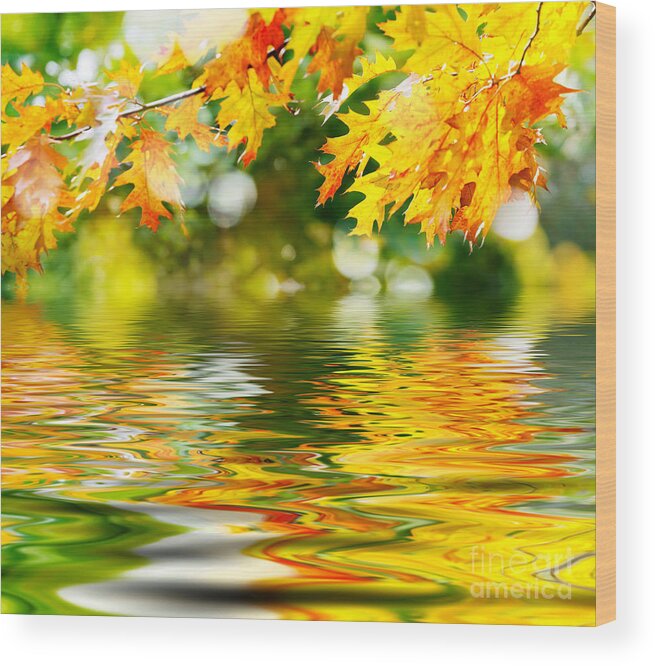 Beautiful Wood Print featuring the photograph Beautiful Autumn Leaves by Boon Mee