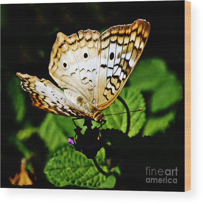 Butterfly Wood Print featuring the photograph Butterfly by Ursula Gill