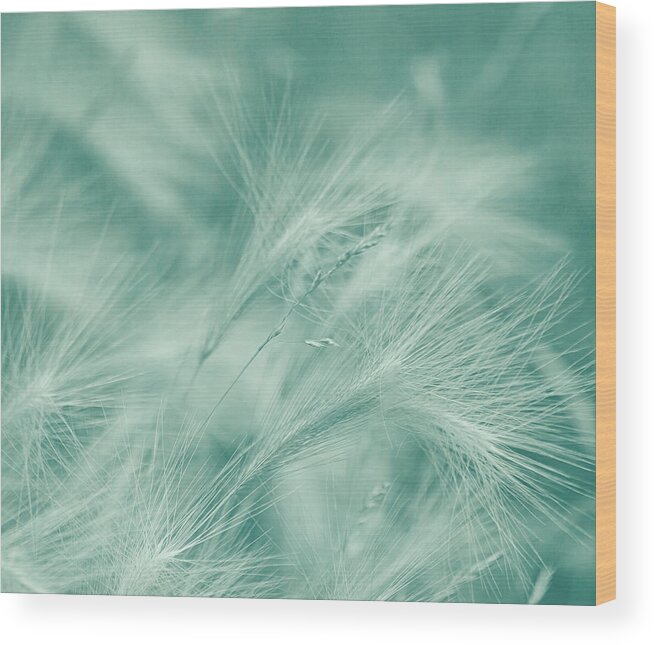 Charm Wood Print featuring the photograph Dream by Kim Hojnacki