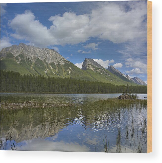 Feb0514 Wood Print featuring the photograph Endless Chain Ridge And Honeymoon Lake by Tim Fitzharris