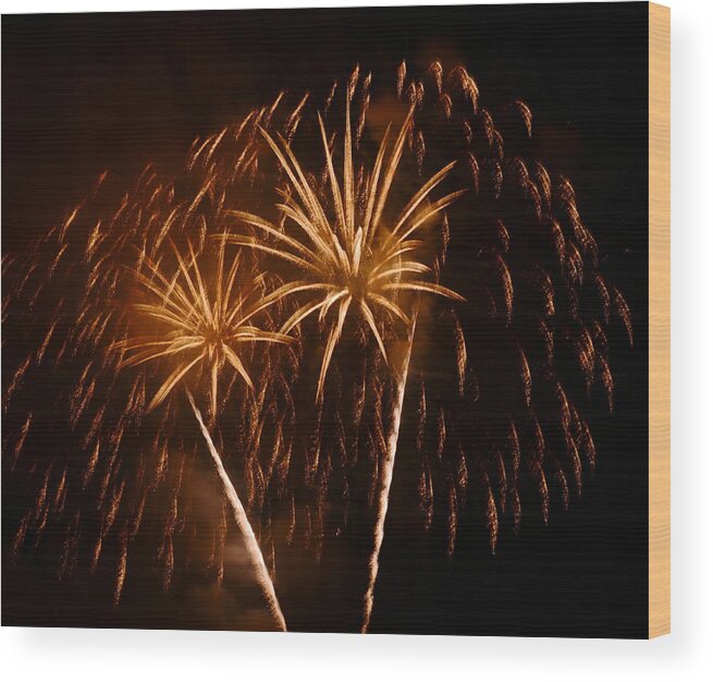 Fireworks Wood Print featuring the photograph Evening in Paradise by Linda Mishler