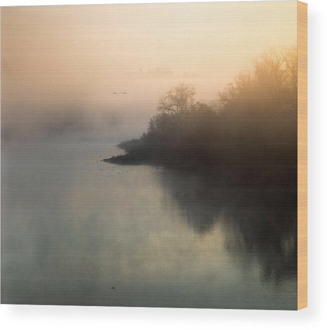 Fog Wood Print featuring the photograph Foggy Sunrise by Janet Kopper