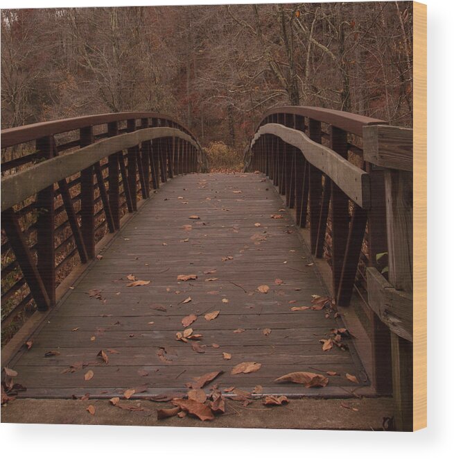 Footbridge Wood Print featuring the photograph Footbridge at Conkle's Hollow by Haren Images- Kriss Haren