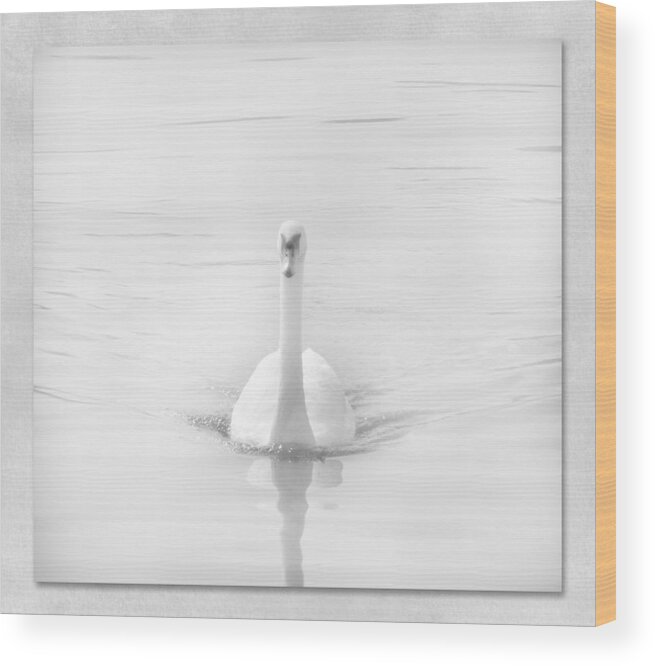 Swan Wood Print featuring the photograph Ghostly White by Lynn Bolt