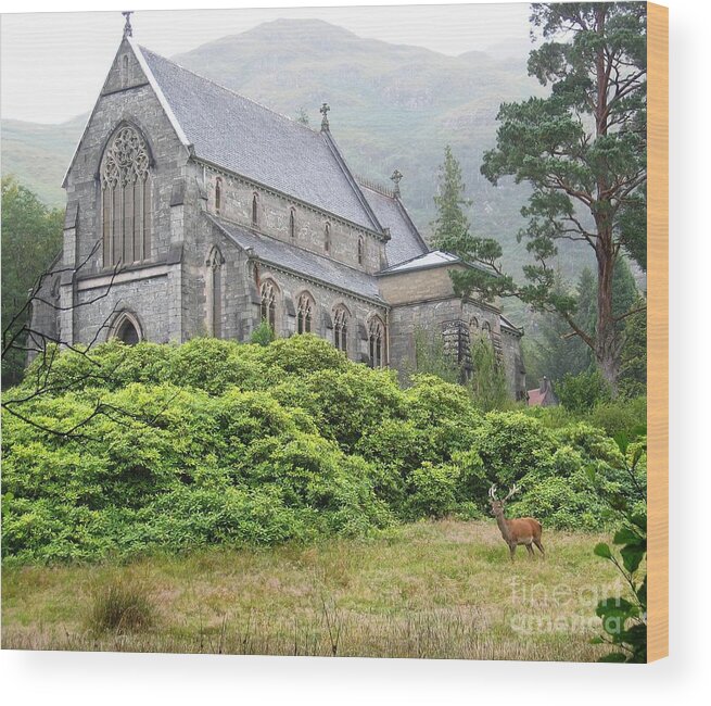 Scottish Highlands Wood Print featuring the photograph Glenfinnan Stag by Denise Railey